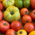 Heirloom Tomatoes